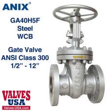 Gate Valve, API, Carbon Steel, 300# Flanged, 1/2" - 14" Gate Valve, API, Carbon Steel, 300# Flanged, 1/2" - 14"